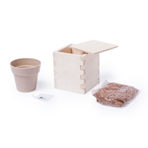 Wooden flowerpot with mint - Image 5